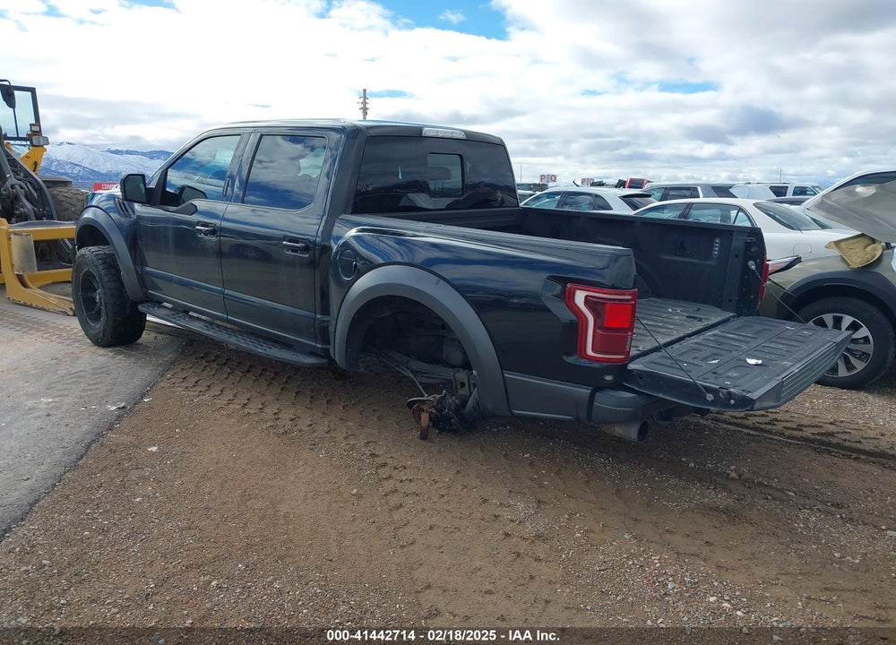 2017 FORD F-150 RAPTOR VIN: 1FTFW1RG6HFC81695