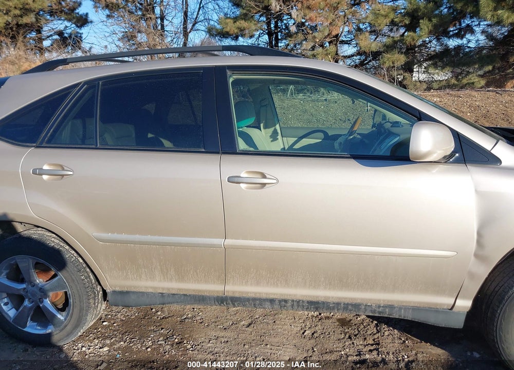 2007 LEXUS RX 350 VIN: 2T2HK31U47C030386