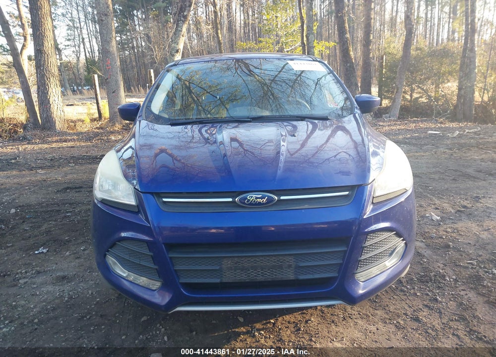 2014 FORD ESCAPE SE VIN: 1FMCU9GX4EUB83679