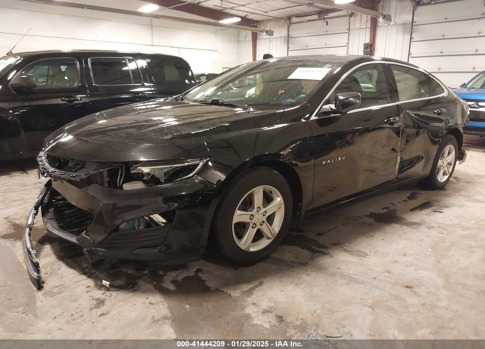 2019 CHEVROLET MALIBU VIN: 1G1ZC5STXKF123929