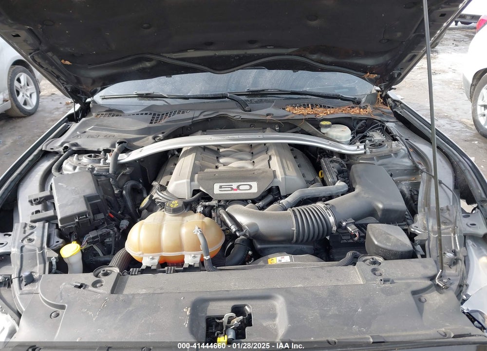 2015 FORD MUSTANG VIN: 1FA6P8CF2F5405217