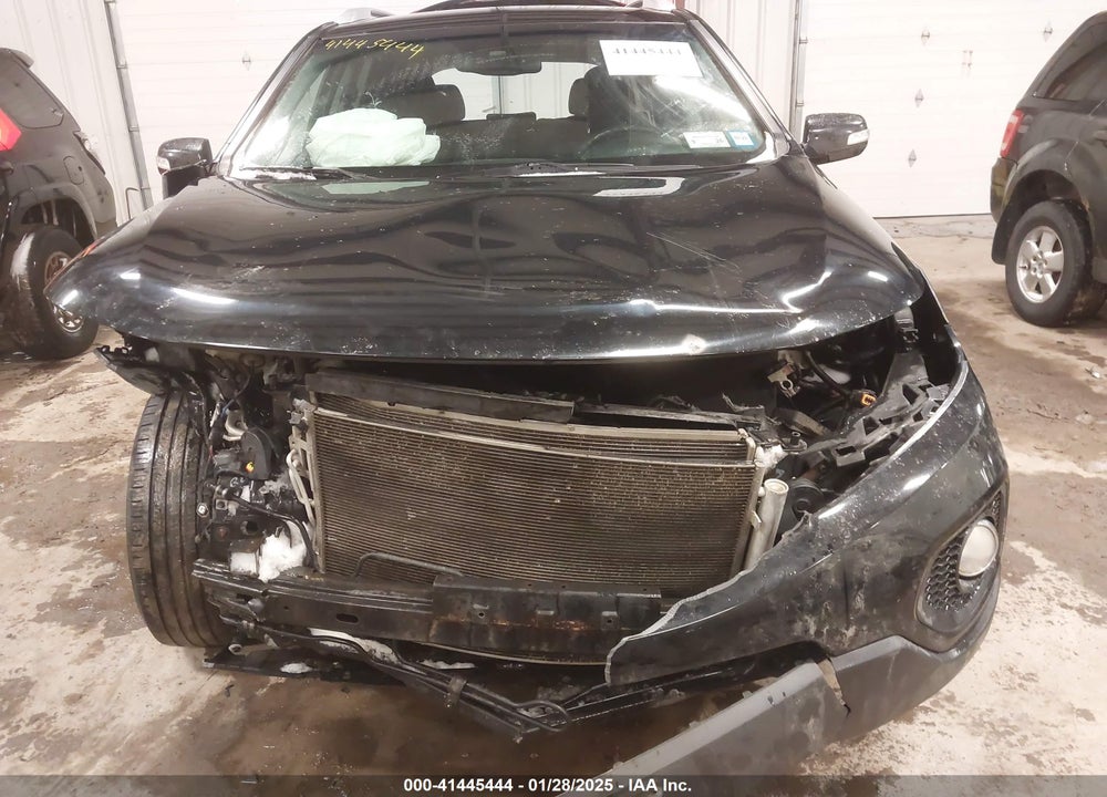 2011 KIA SORENTO LX VIN: 5XYKT3A14BG007166