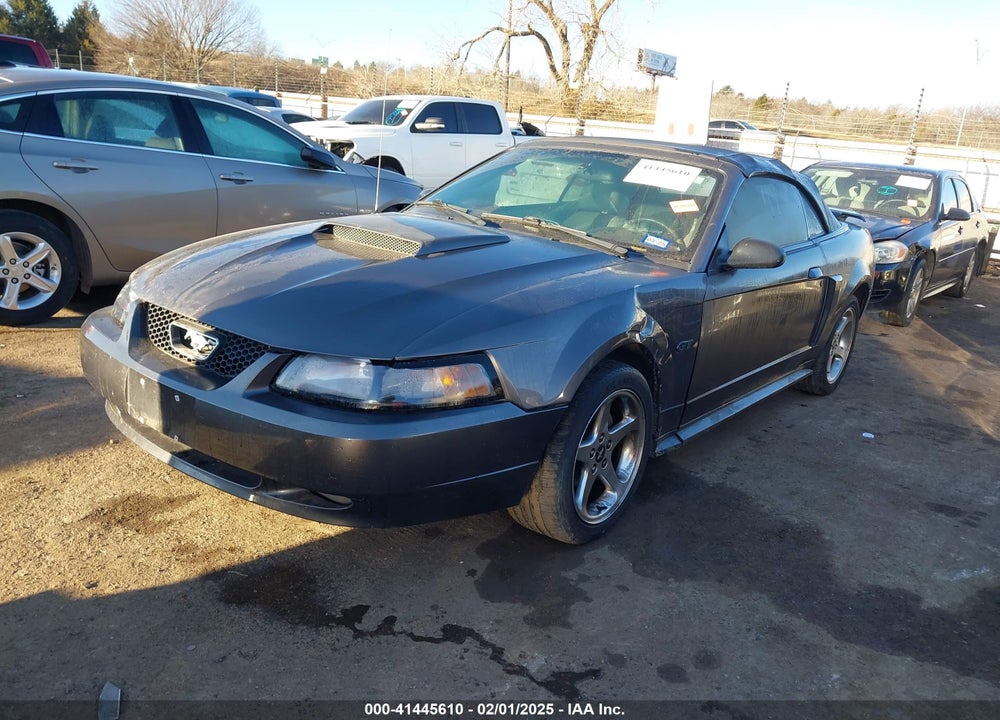 2003 FORD MUSTANG GT VIN: 1FAFP45X83F438484