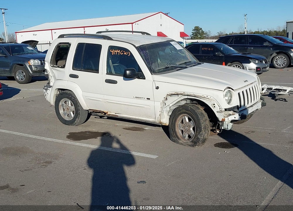 2003 JEEP LIBERTY LIMITED EDITION VIN: 1J8GL58K33W591945