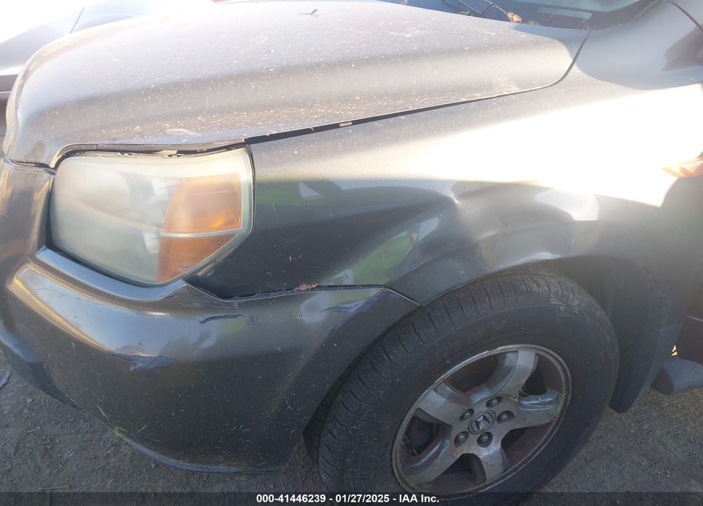 2006 HONDA PILOT EX-L VIN: 5FNYF28666B021709