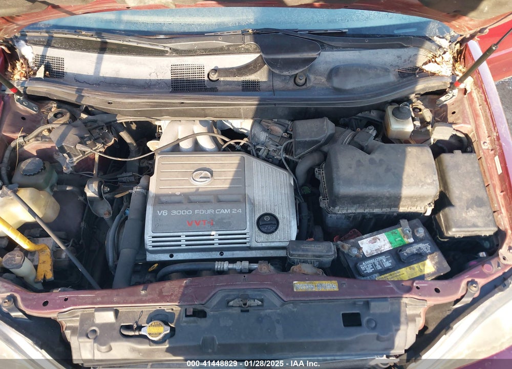 1999 LEXUS RX 300 VIN: JT6HF10U6X0046735