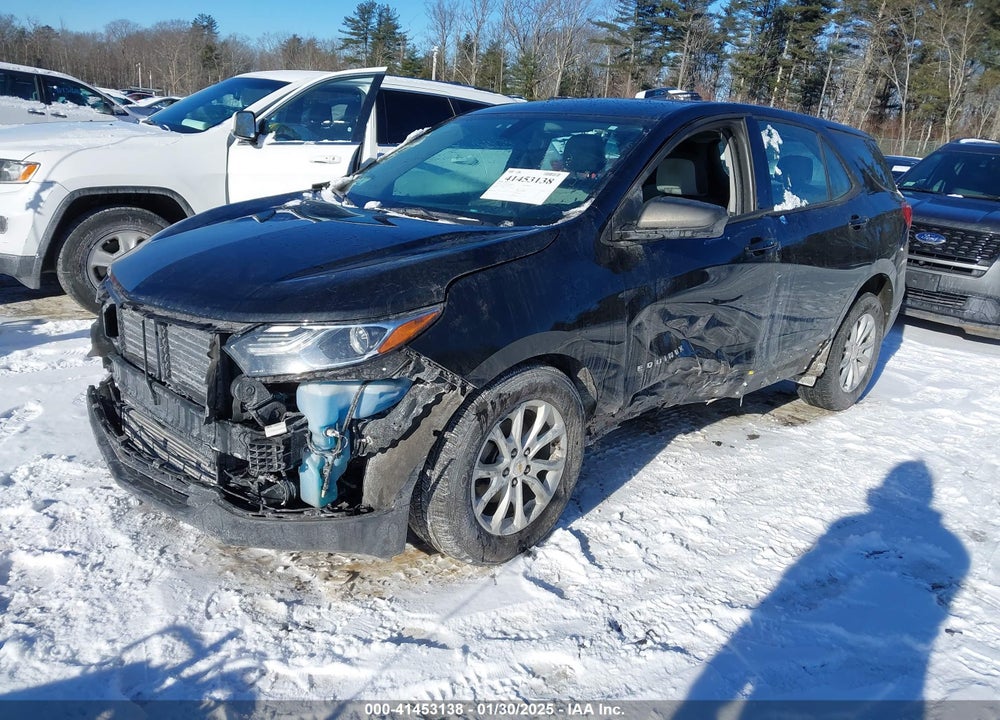 2018 CHEVROLET EQUINOX LS VIN: 2GNAXHEV5J6317971