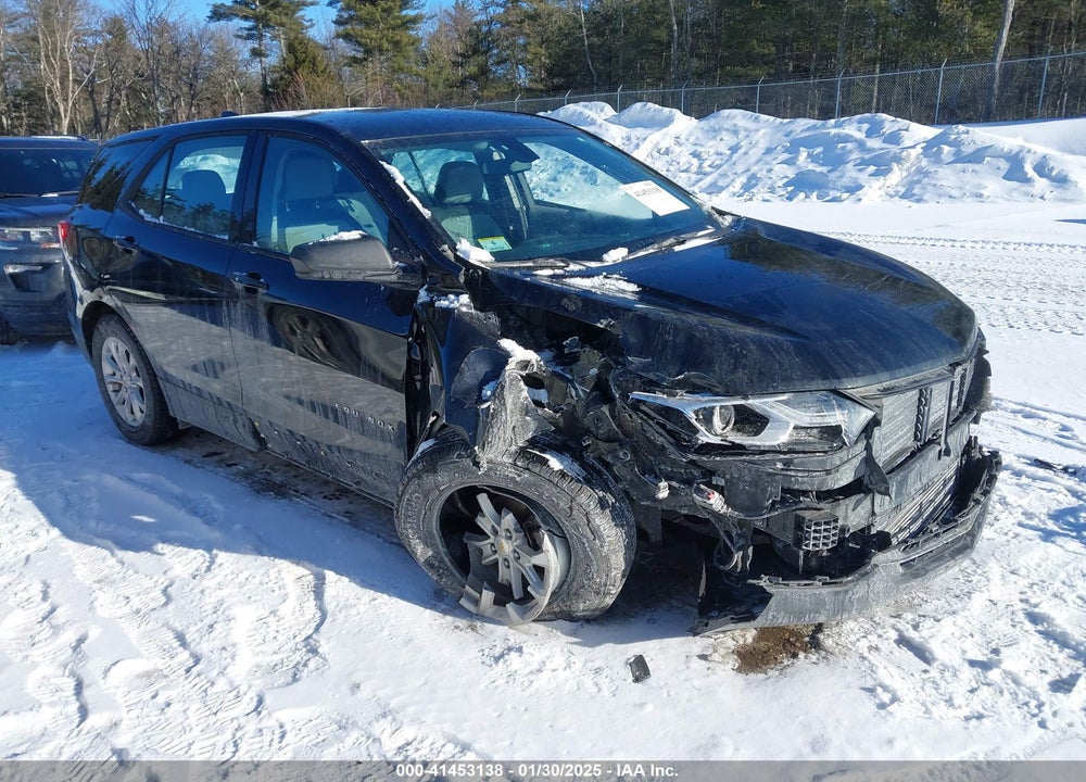 2018 CHEVROLET EQUINOX LS VIN: 2GNAXHEV5J6317971