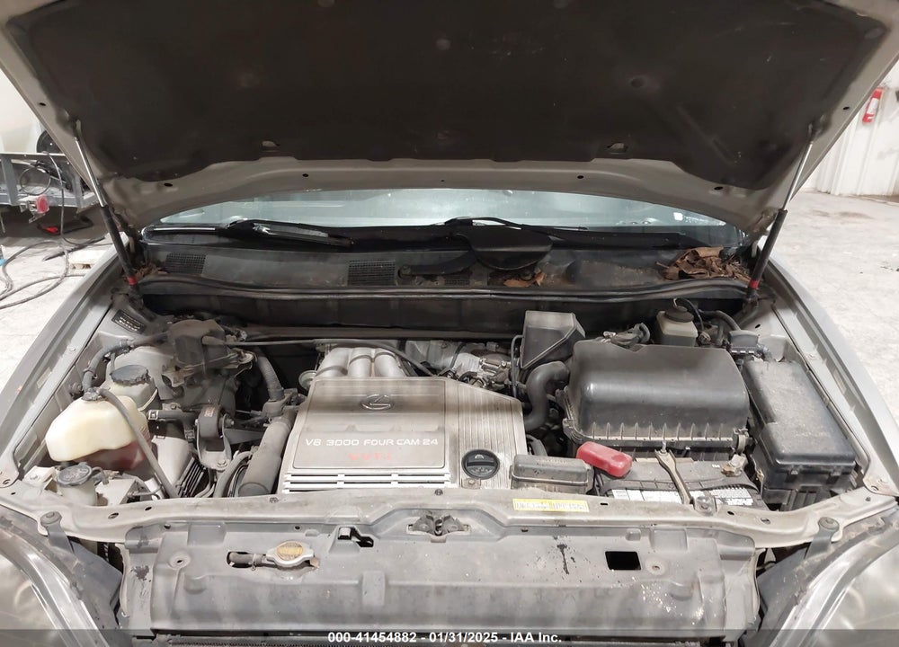 1999 LEXUS RX 300 VIN: JT6HF10U7X0030771