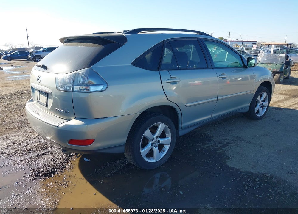 2007 LEXUS RX 350 VIN: JTJGK31U670003682