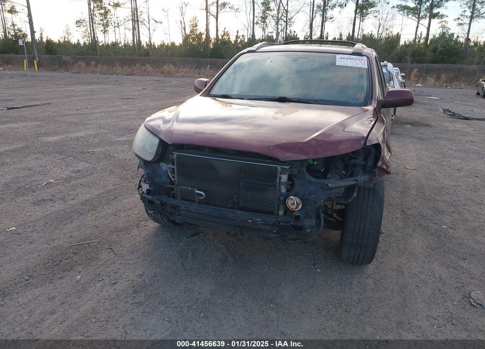 2007 HYUNDAI SANTA FE LIMITED/SE VIN: 5NMSH13E87H043171