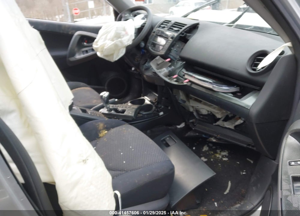 2010 TOYOTA RAV4 VIN: JTMRK4DV0A5090463