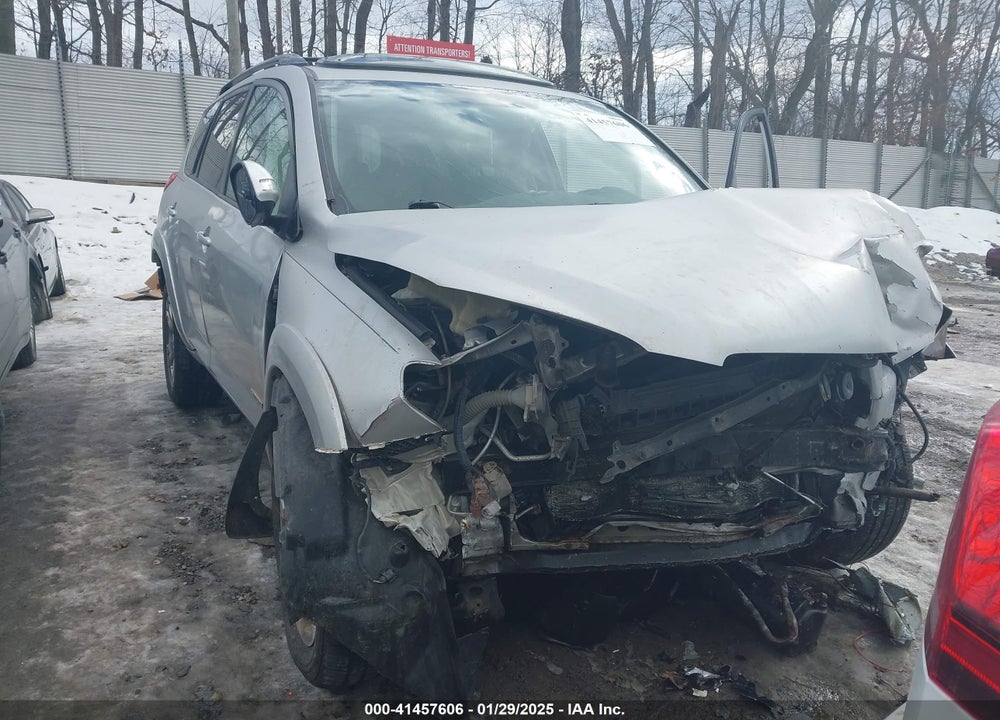 2010 TOYOTA RAV4 VIN: JTMRK4DV0A5090463