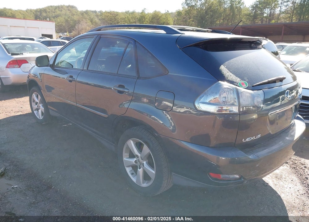 2004 LEXUS RX 330 VIN: JTJGA31U640003390