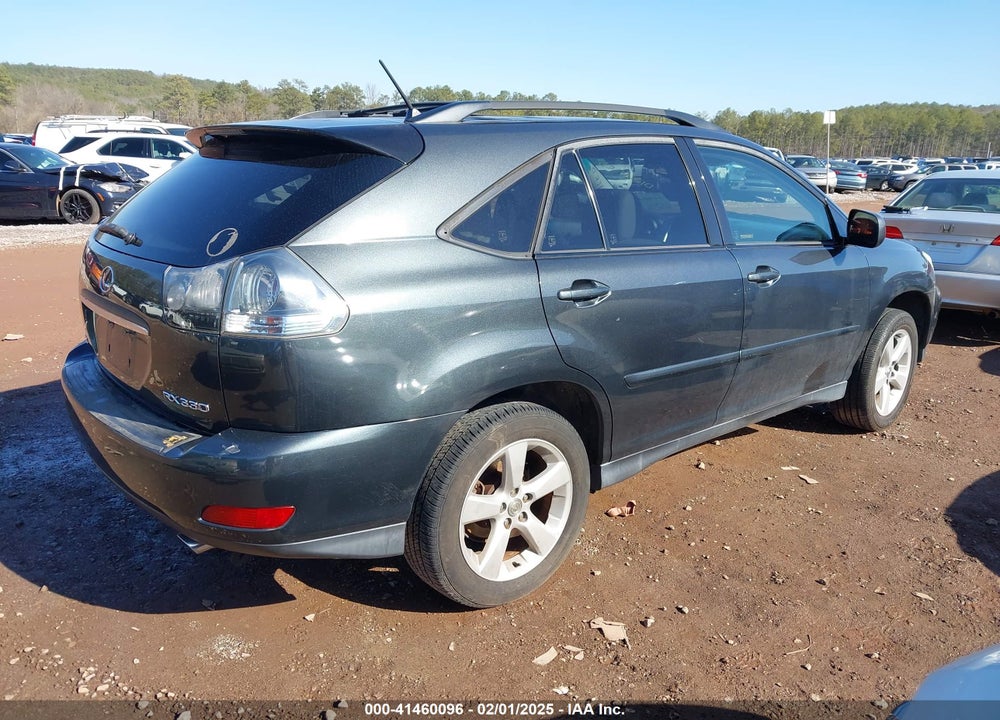 2004 LEXUS RX 330 VIN: JTJGA31U640003390