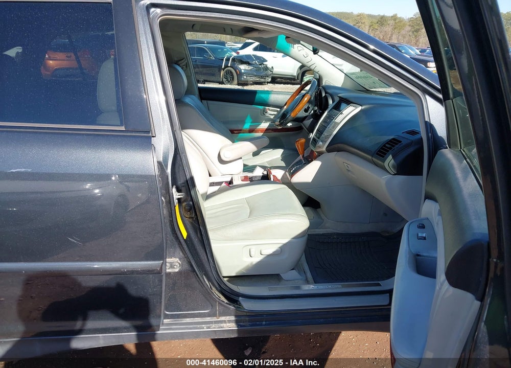 2004 LEXUS RX 330 VIN: JTJGA31U640003390
