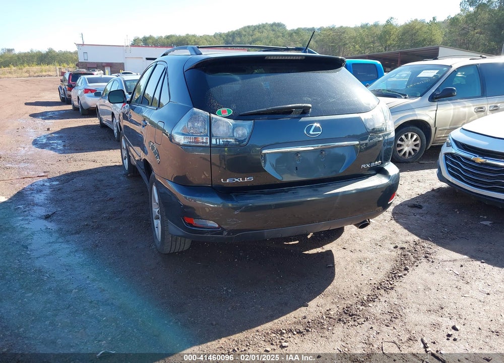 2004 LEXUS RX 330 VIN: JTJGA31U640003390