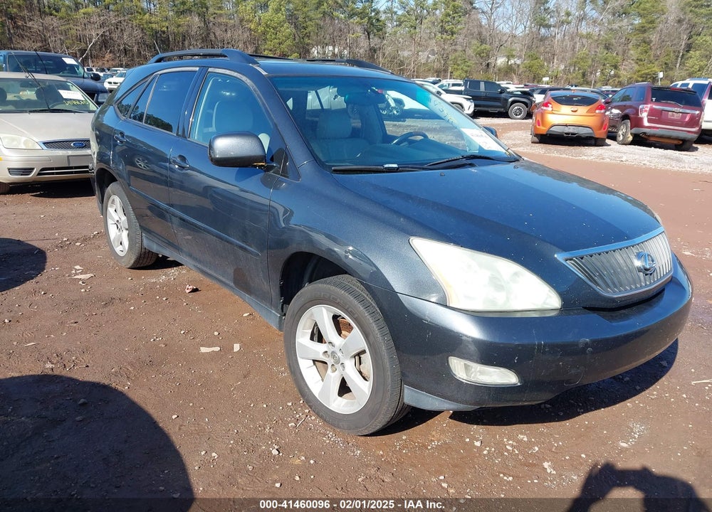 2004 LEXUS RX 330 VIN: JTJGA31U640003390