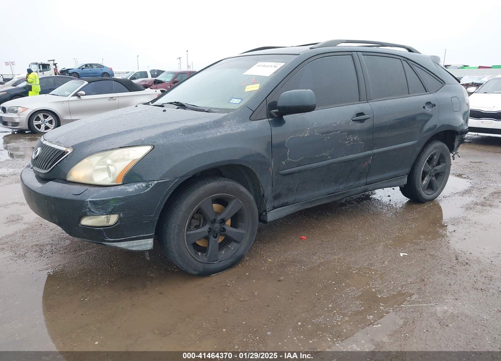 2007 LEXUS RX 350 VIN: JTJGK31U470002613