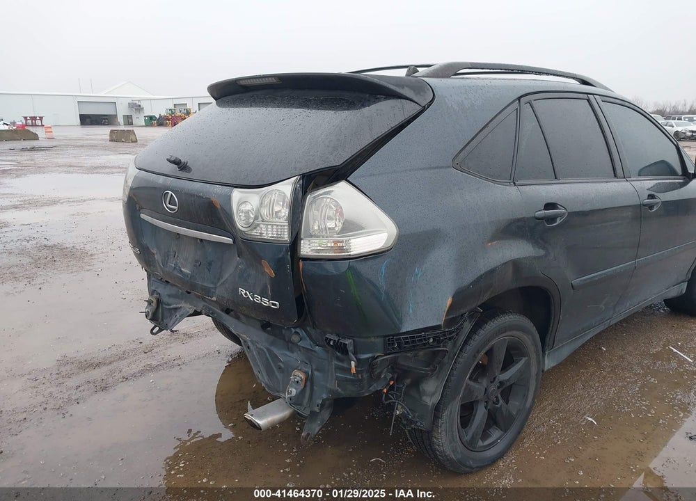 2007 LEXUS RX 350 VIN: JTJGK31U470002613