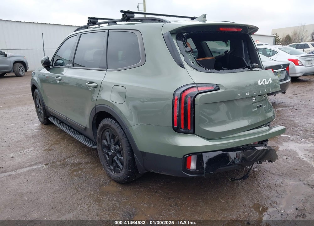2024 KIA TELLURIDE VIN: 5XYP5DGC4RG448742