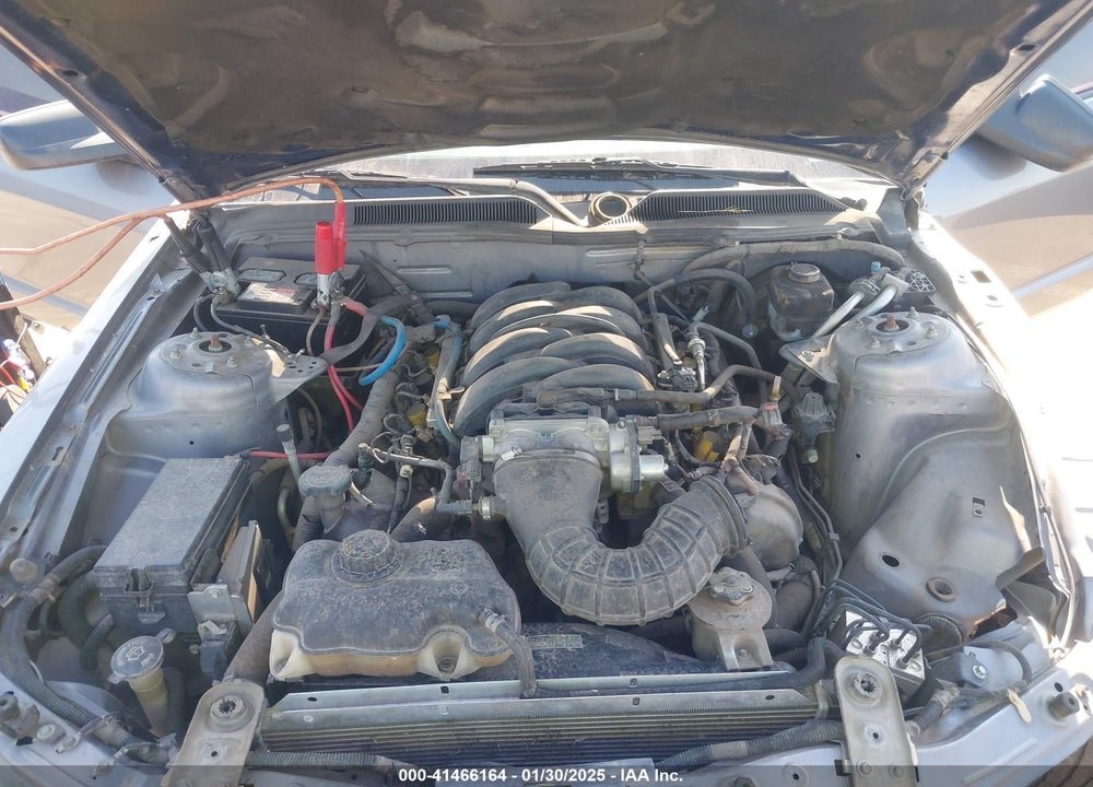 2006 FORD MUSTANG VIN: 1ZVHT82H265219904