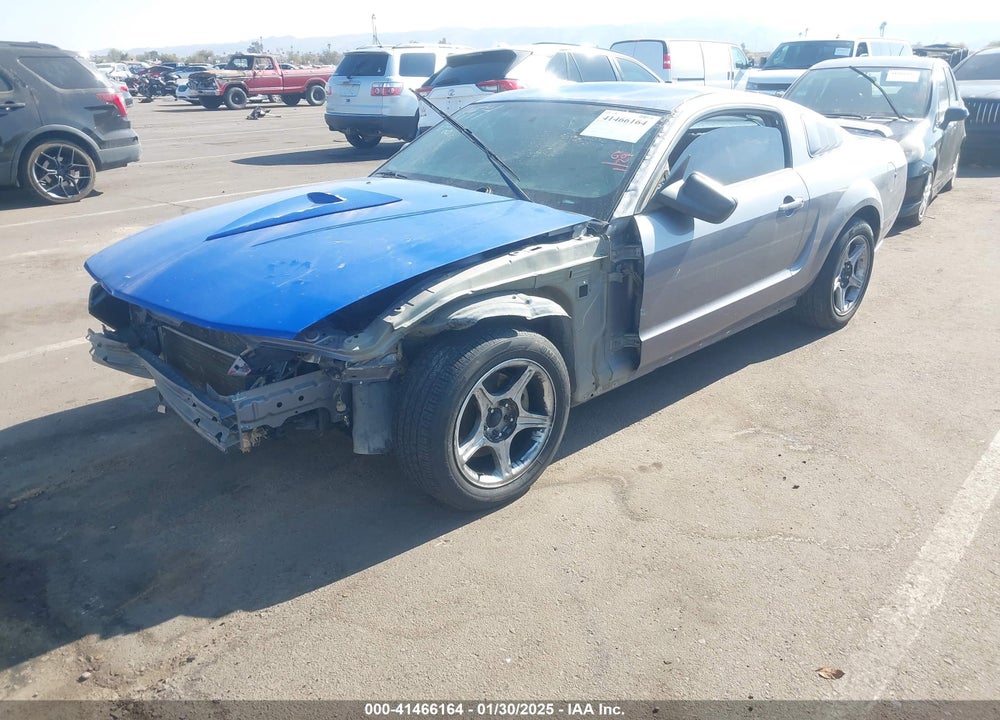 2006 FORD MUSTANG VIN: 1ZVHT82H265219904
