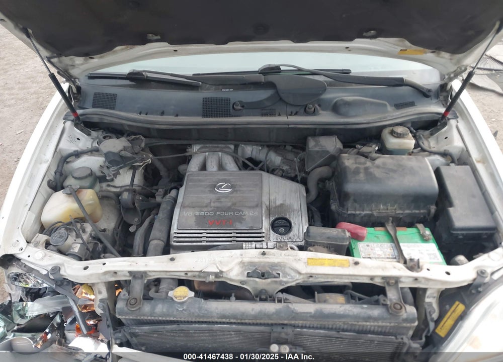 2002 LEXUS RX 300 VIN: JTJHF10U820283077