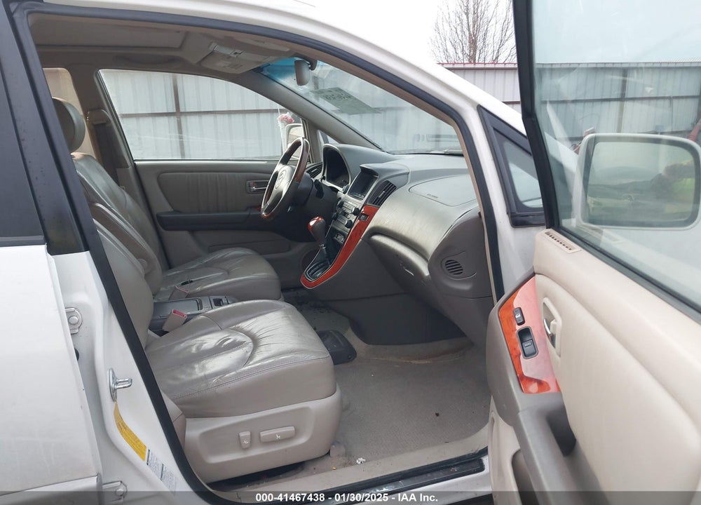 2002 LEXUS RX 300 VIN: JTJHF10U820283077