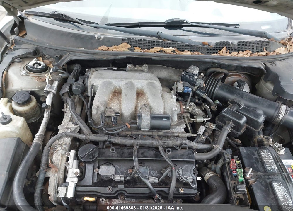 2006 NISSAN MAXIMA VIN: 1N4BA41E66C835315