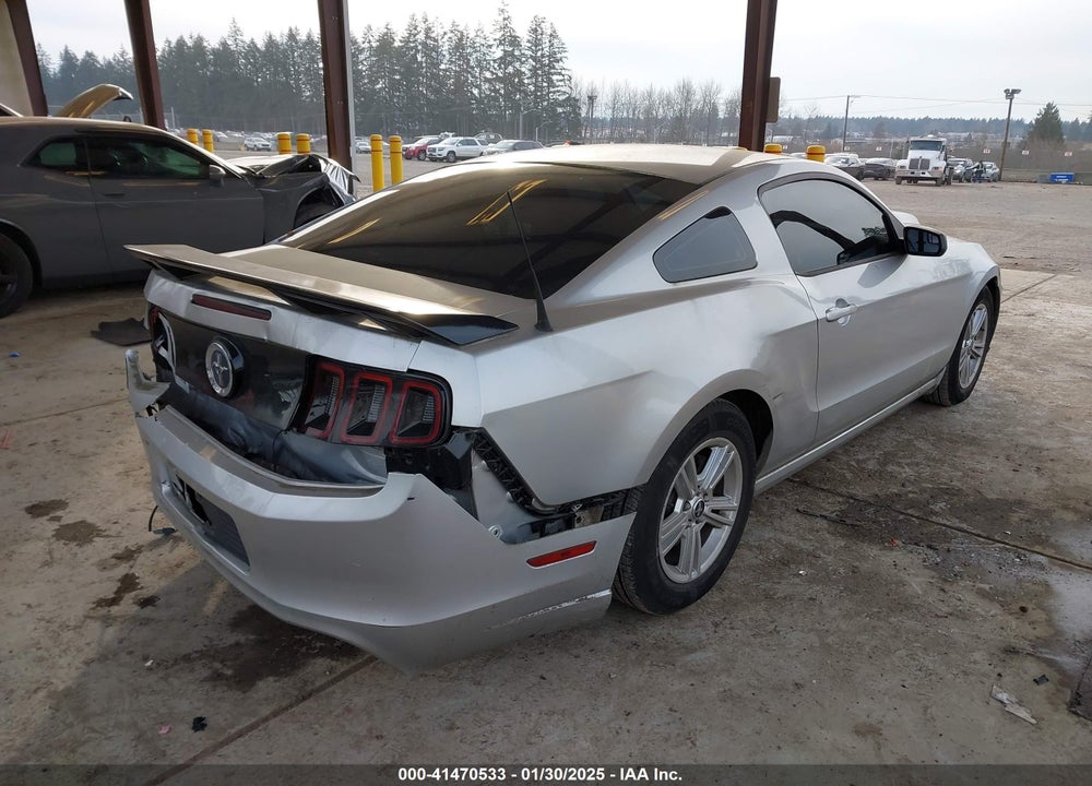 2014 FORD MUSTANG VIN: 1ZVBP8AM7E5275618