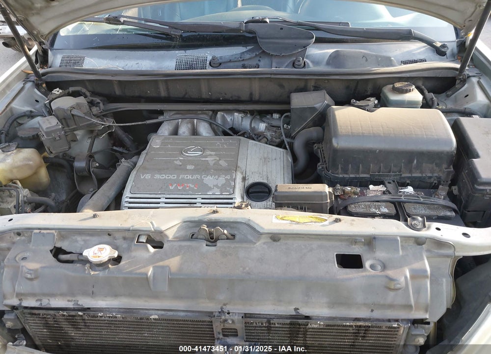 2003 LEXUS RX 300 VIN: JTJGF10U030154568