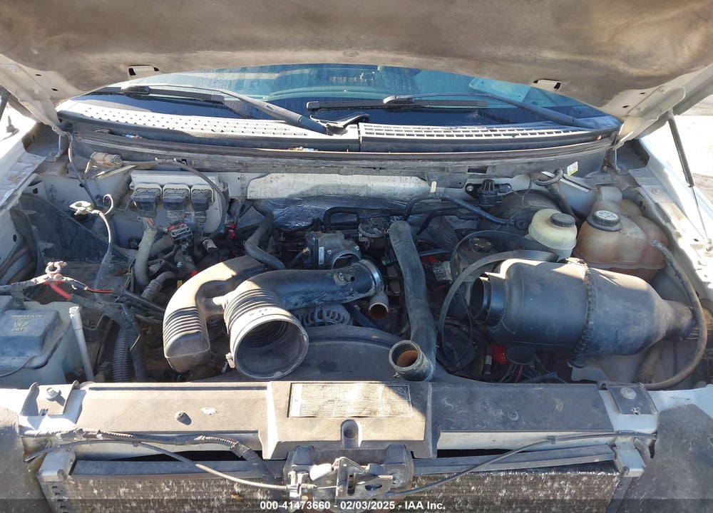 2007 FORD F-150 XLT VIN: 1FTRW12W07KC66467