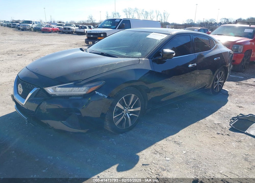2019 NISSAN MAXIMA VIN: 1N4AA6AV0KC365901