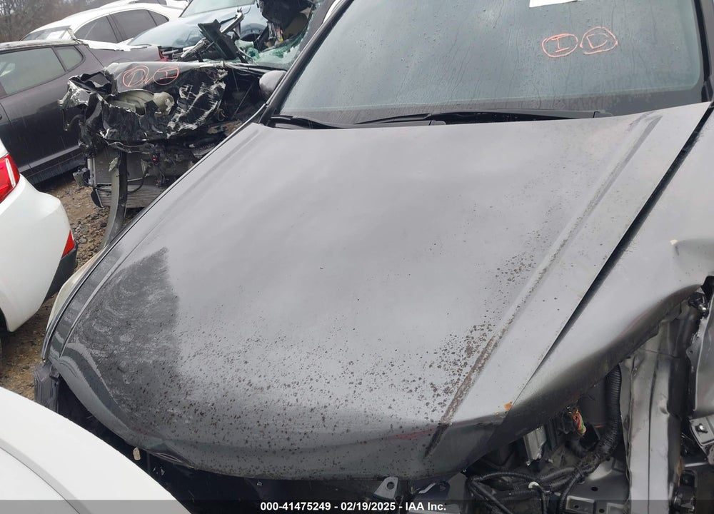 2012 HONDA ACCORD VIN: 1HGCP2F65CA195559