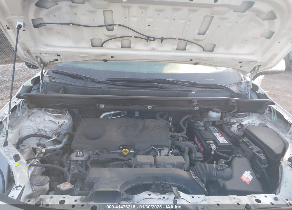 2019 TOYOTA RAV4 LE VIN: JTMG1RFV1KJ012240