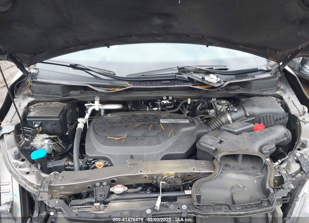 2019 HONDA ODYSSEY VIN: 5FNRL6H5XKB117347