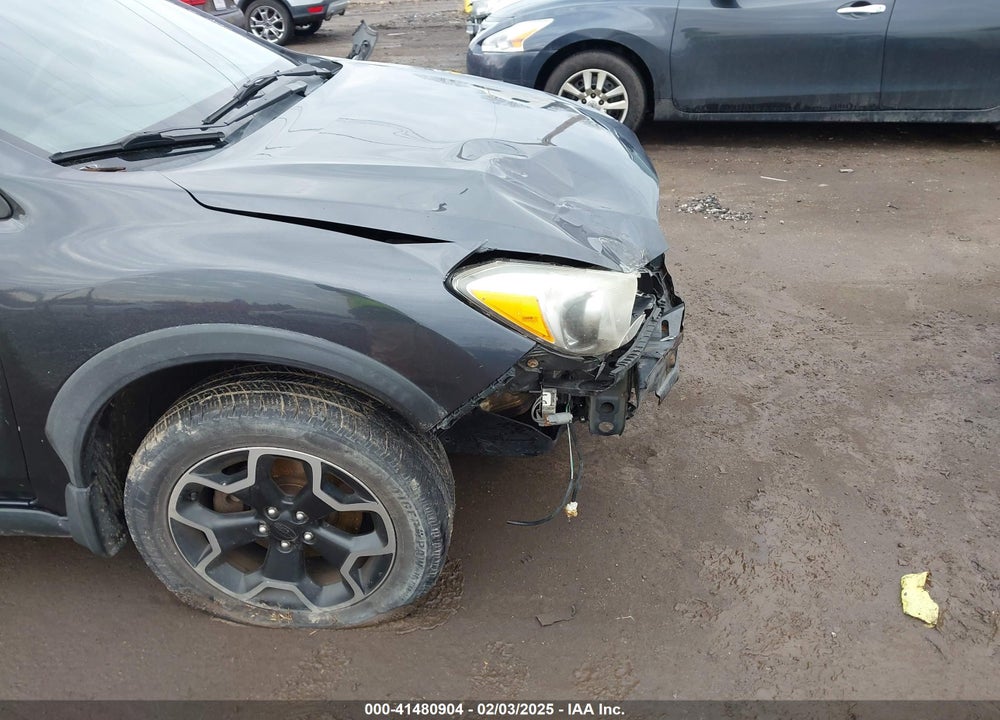 2013 SUBARU XV CROSSTREK VIN: JF2GPAGC5D2841890