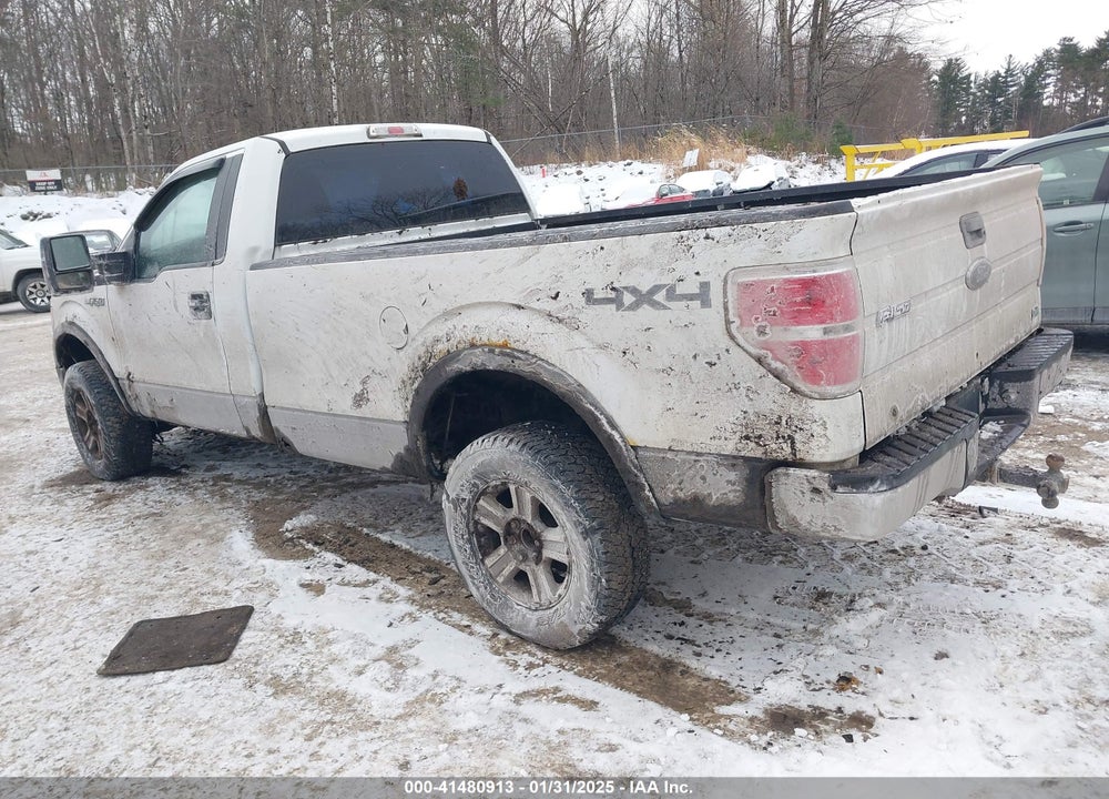 2010 FORD F-150 VIN: 1FTNF1EV8AKE68336