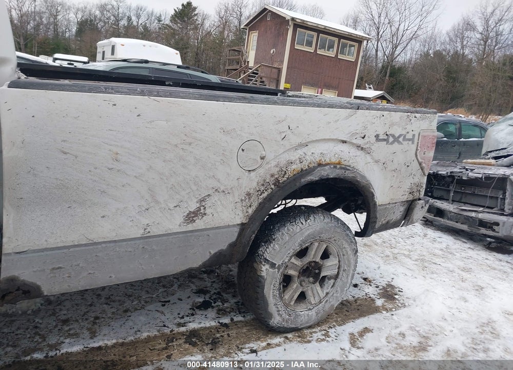 2010 FORD F-150 VIN: 1FTNF1EV8AKE68336