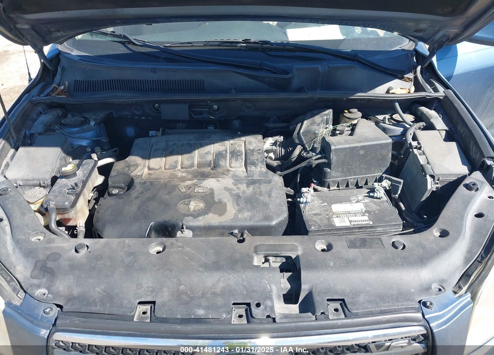 2006 TOYOTA RAV4 VIN: JTMZK31V366001887