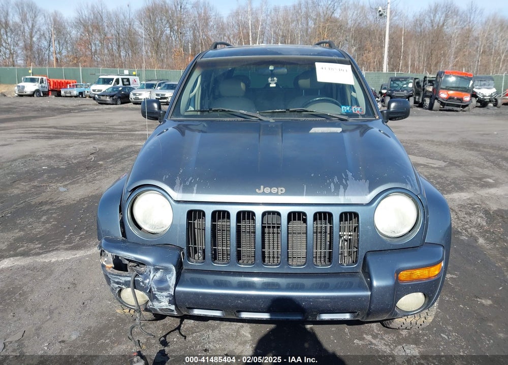 2002 JEEP LIBERTY LIMITED EDITION VIN: 1J4GL58K22W216497