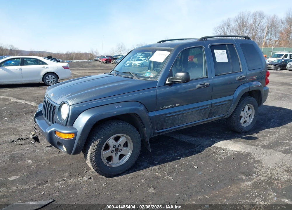 2002 JEEP LIBERTY LIMITED EDITION VIN: 1J4GL58K22W216497