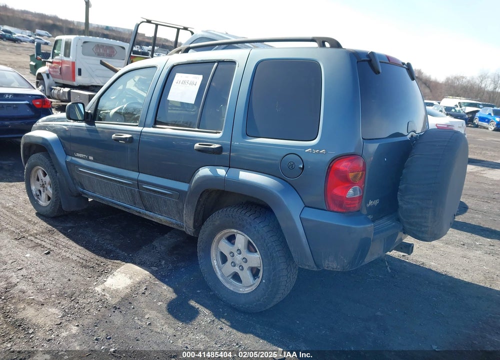 2002 JEEP LIBERTY LIMITED EDITION VIN: 1J4GL58K22W216497