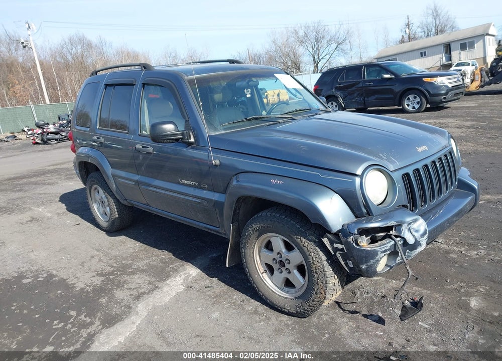 2002 JEEP LIBERTY LIMITED EDITION VIN: 1J4GL58K22W216497