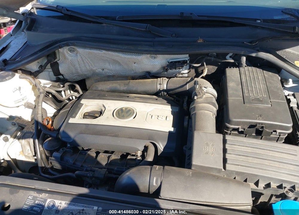 2010 VOLKSWAGEN TIGUAN VIN: WVGAV7AXXAW001922