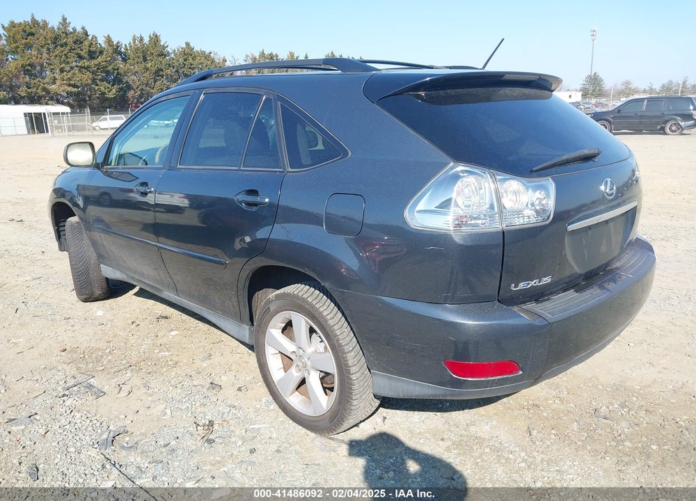 2006 LEXUS RX 330 VIN: 2T2HA31U56C094809