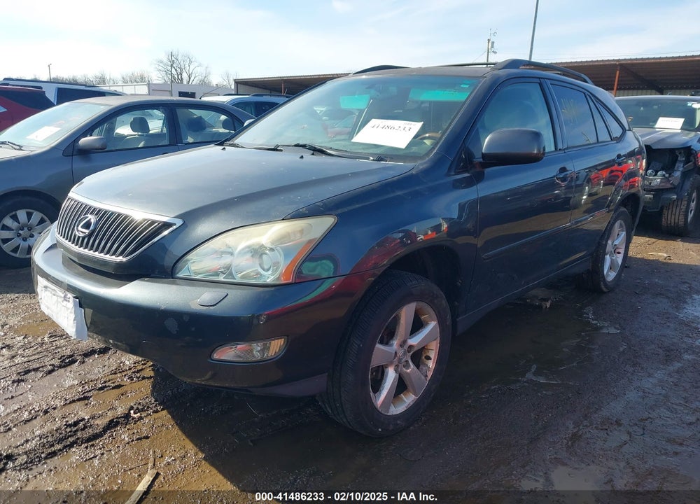 2004 LEXUS RX 330 VIN: JTJHA31U540045313