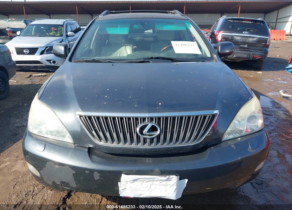 2004 LEXUS RX 330 VIN: JTJHA31U540045313