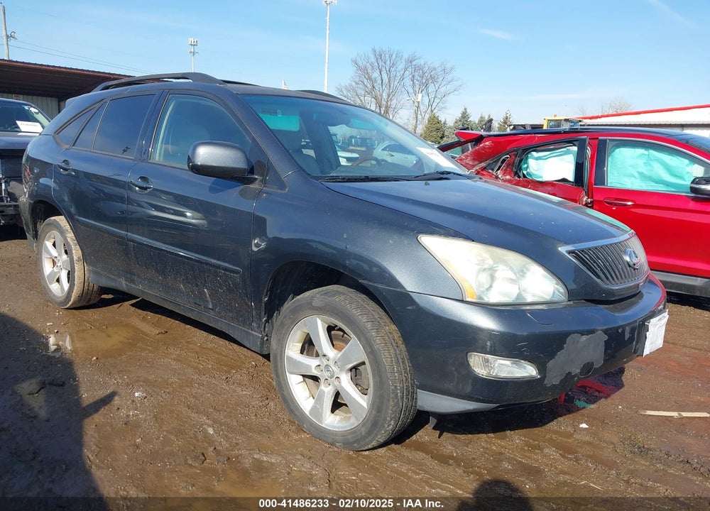 2004 LEXUS RX 330 VIN: JTJHA31U540045313